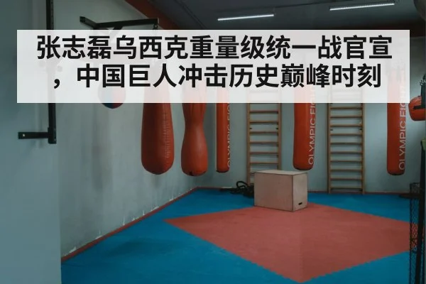 张志磊乌西克重量级统一战官宣，中国巨人冲击历史巅峰时刻